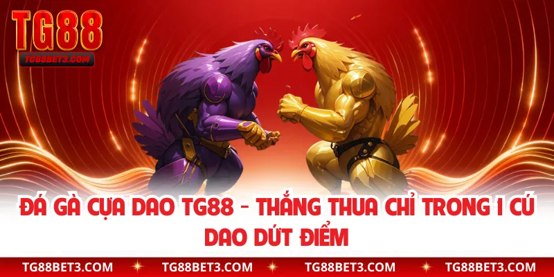 Đá Gà Cựa Dao TG88 - Thắng Thua Chỉ Trong 1 Cú Dao Dứt Điểm